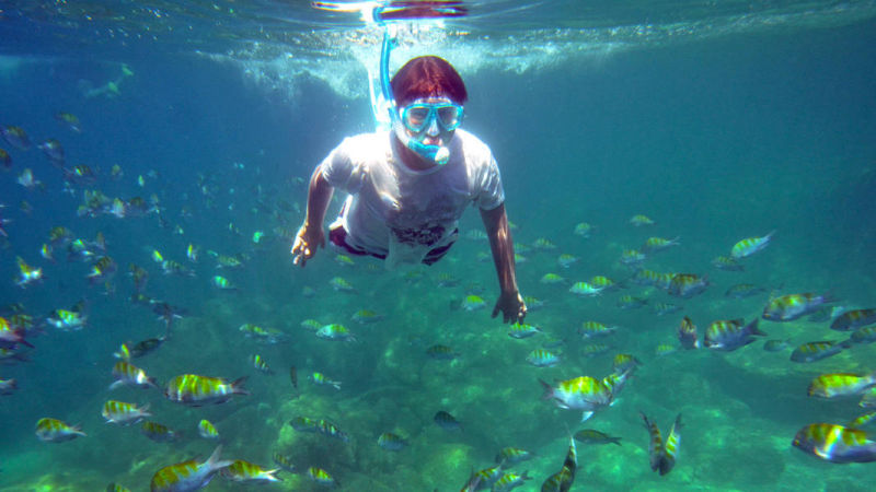cabo snorkeling tour